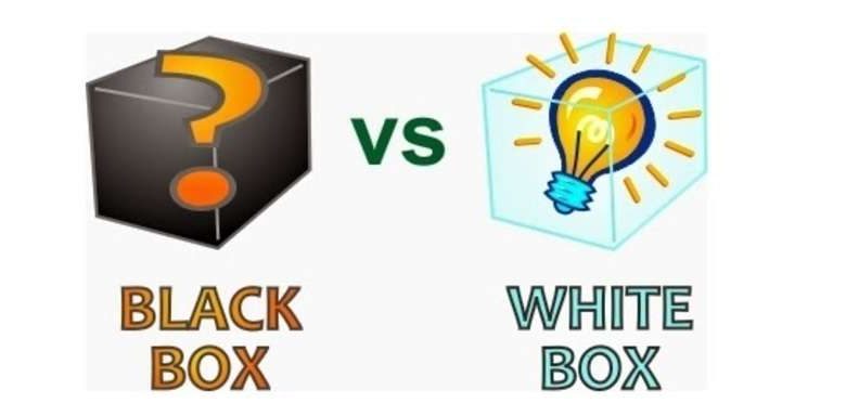 Black Box vs White Box Testing: Do You Require Both?