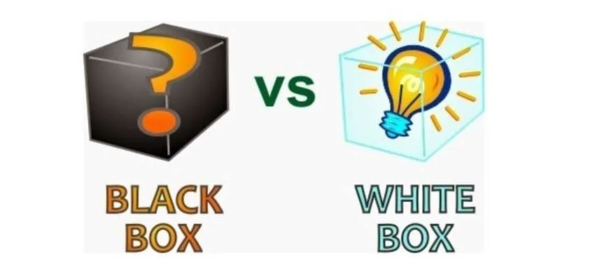 Black Box vs White Box Testing: Do You Require Both?
